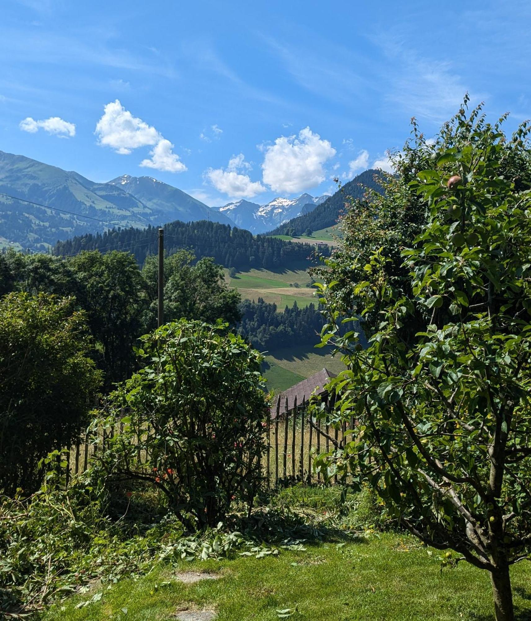 Swiss Mountain-Valley View Lodge Erlenbach im Simmental Экстерьер фото