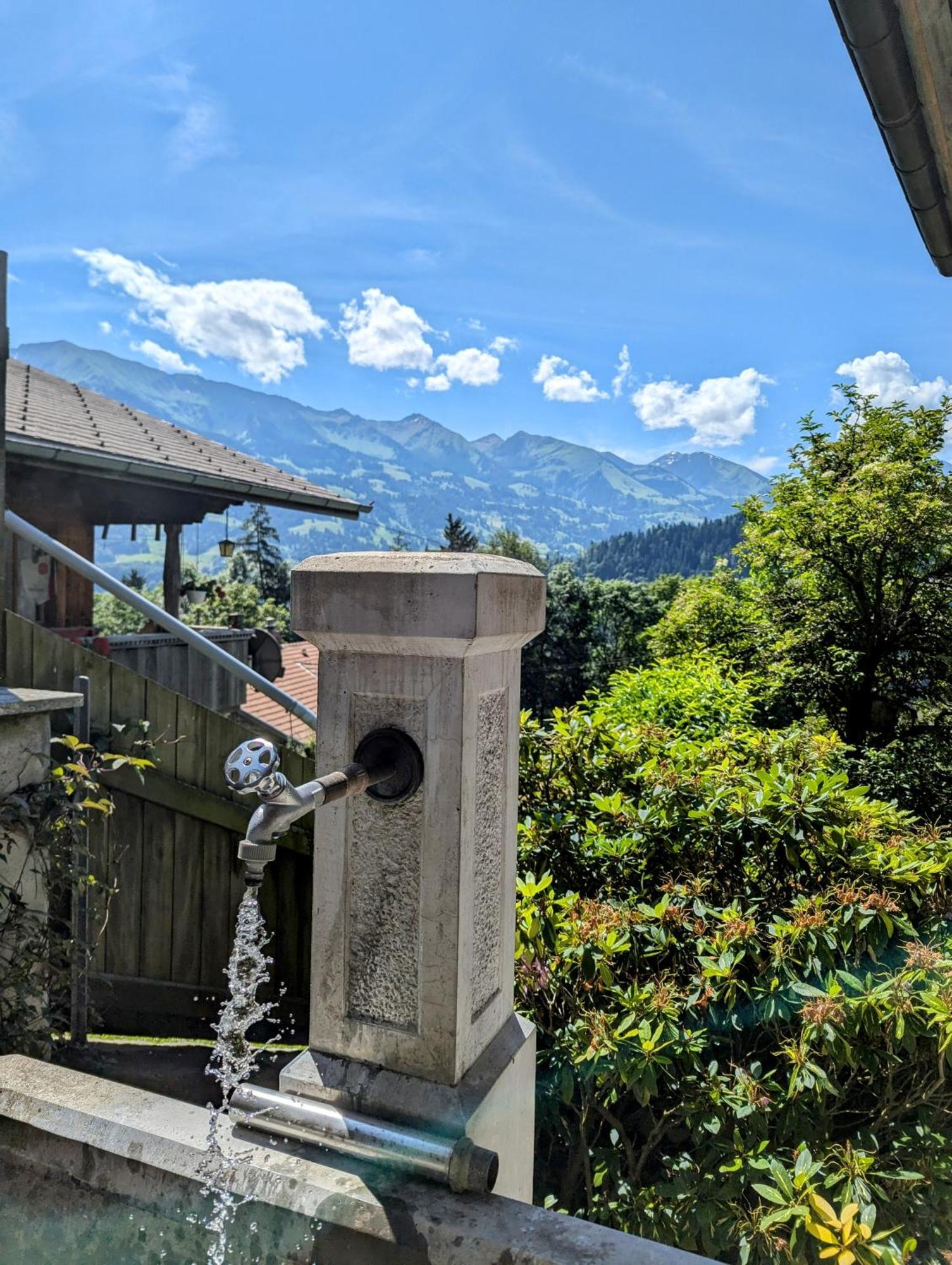 Swiss Mountain-Valley View Lodge Erlenbach im Simmental Экстерьер фото