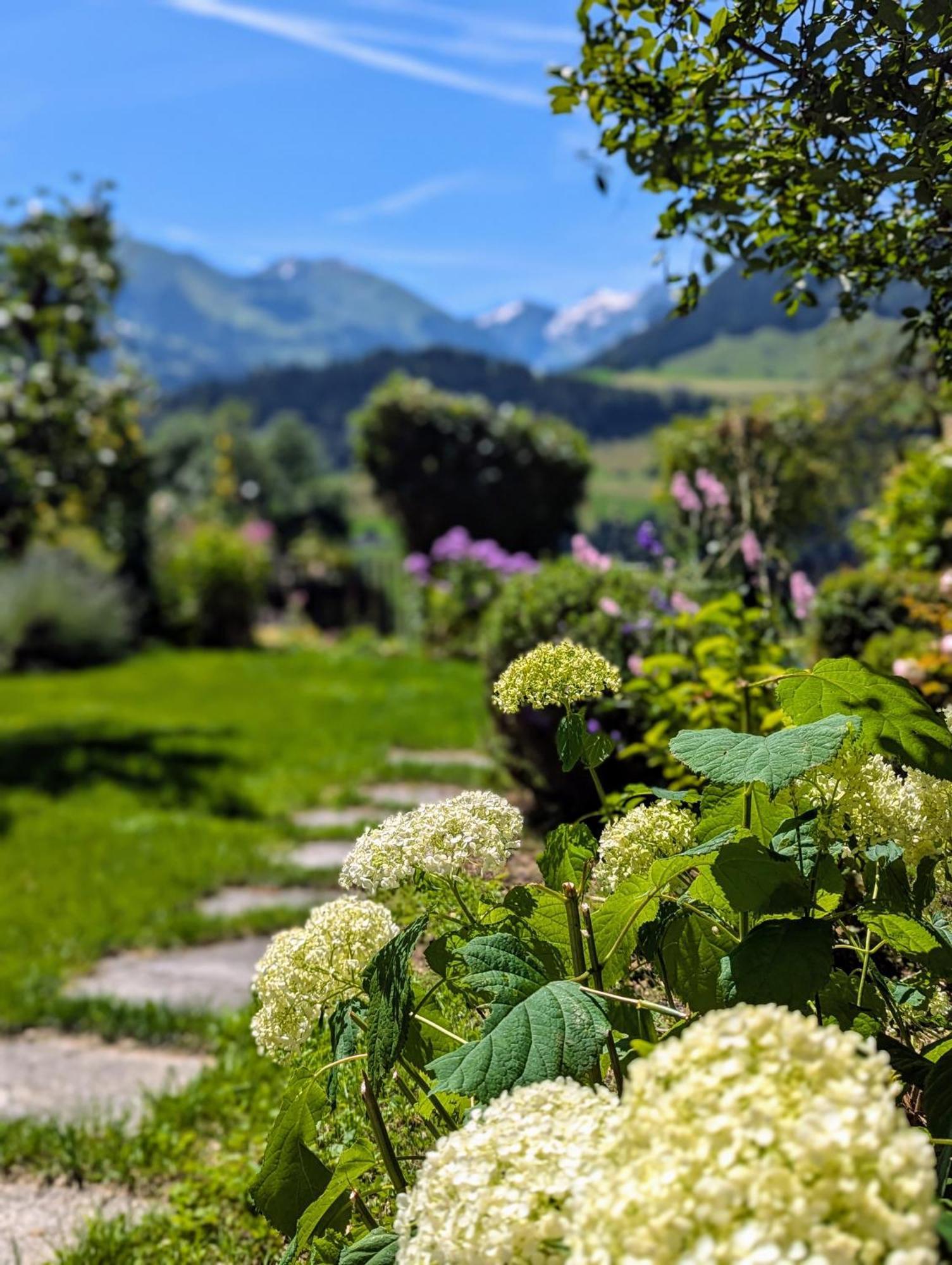 Swiss Mountain-Valley View Lodge Erlenbach im Simmental Экстерьер фото