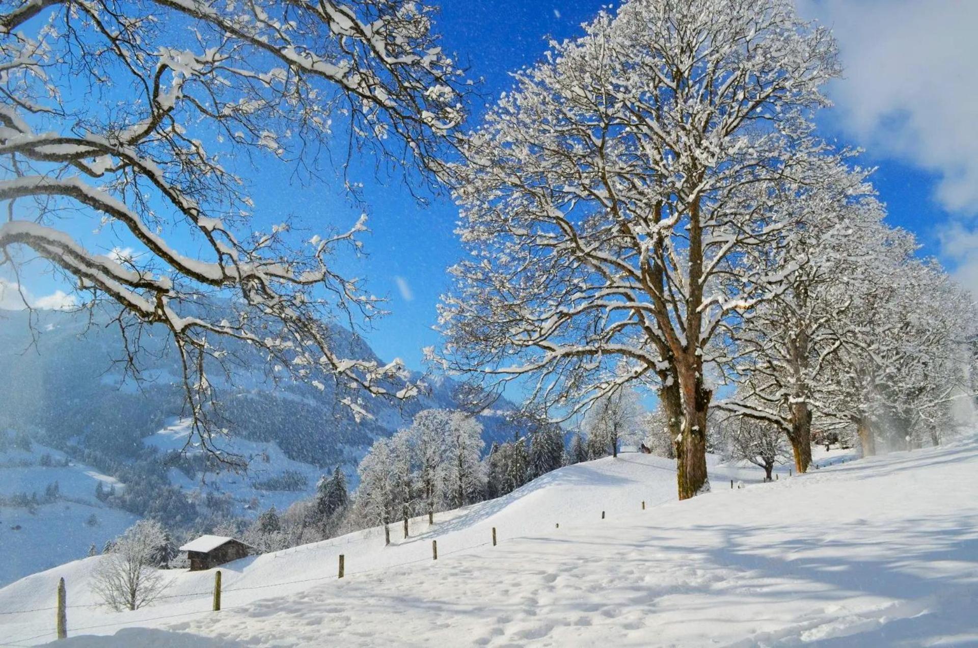 Swiss Mountain-Valley View Lodge Erlenbach im Simmental Экстерьер фото