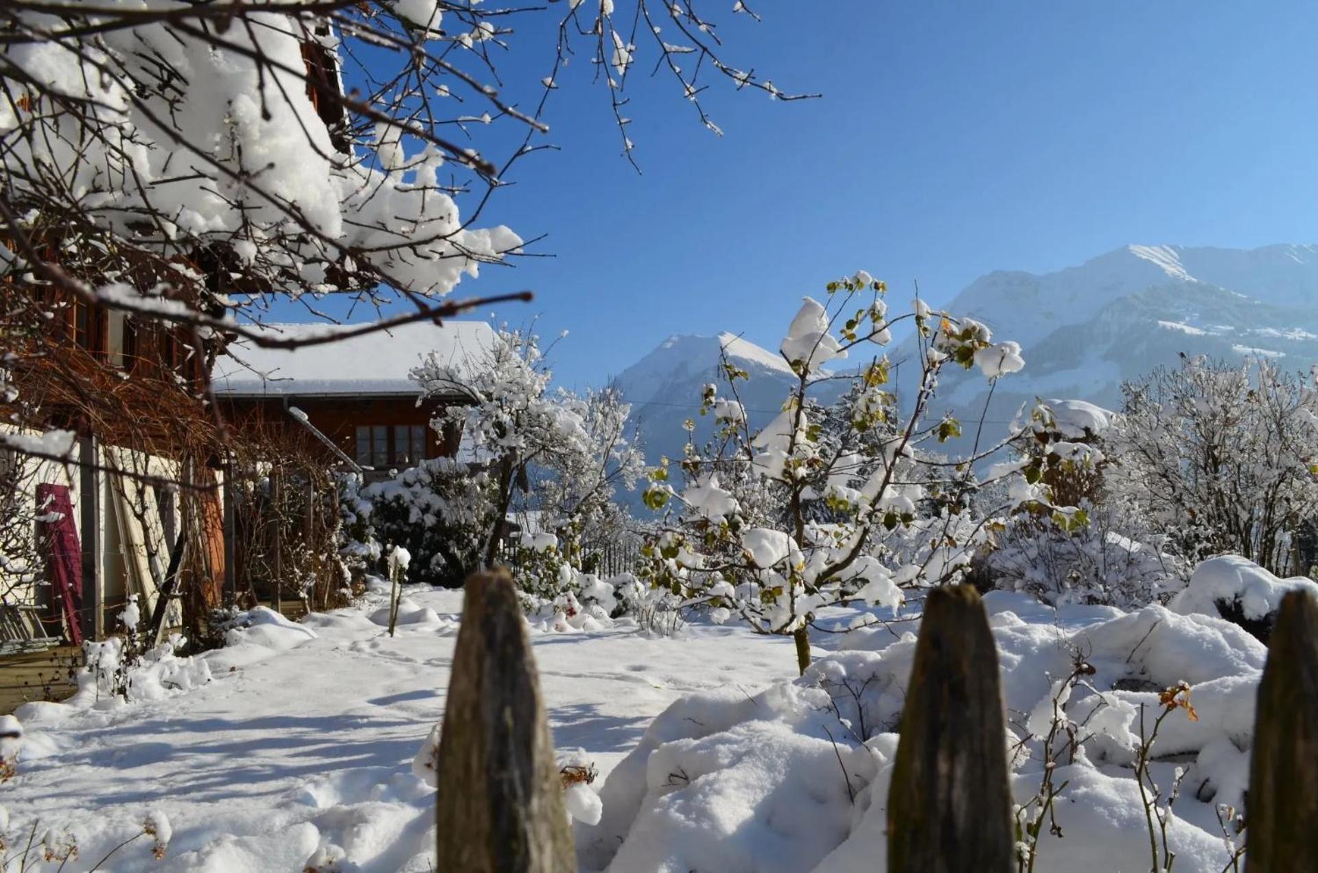 Swiss Mountain-Valley View Lodge Erlenbach im Simmental Экстерьер фото