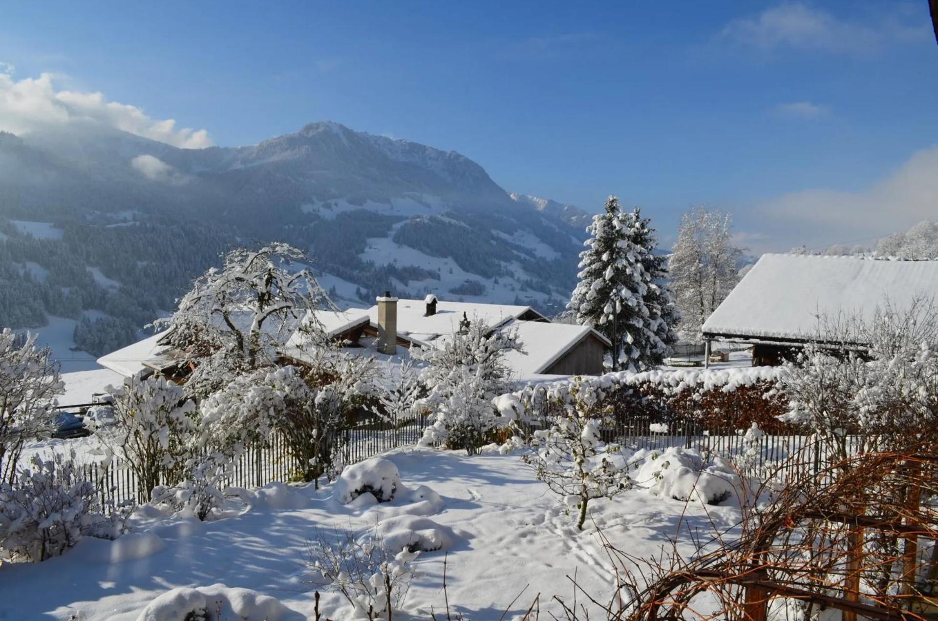 Swiss Mountain-Valley View Lodge Erlenbach im Simmental Экстерьер фото